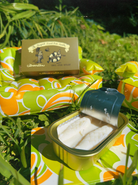 CANDLES/HOME FRAGRANCE TINNED FISH CANDLE IN CITRONELLA Tinned Candle