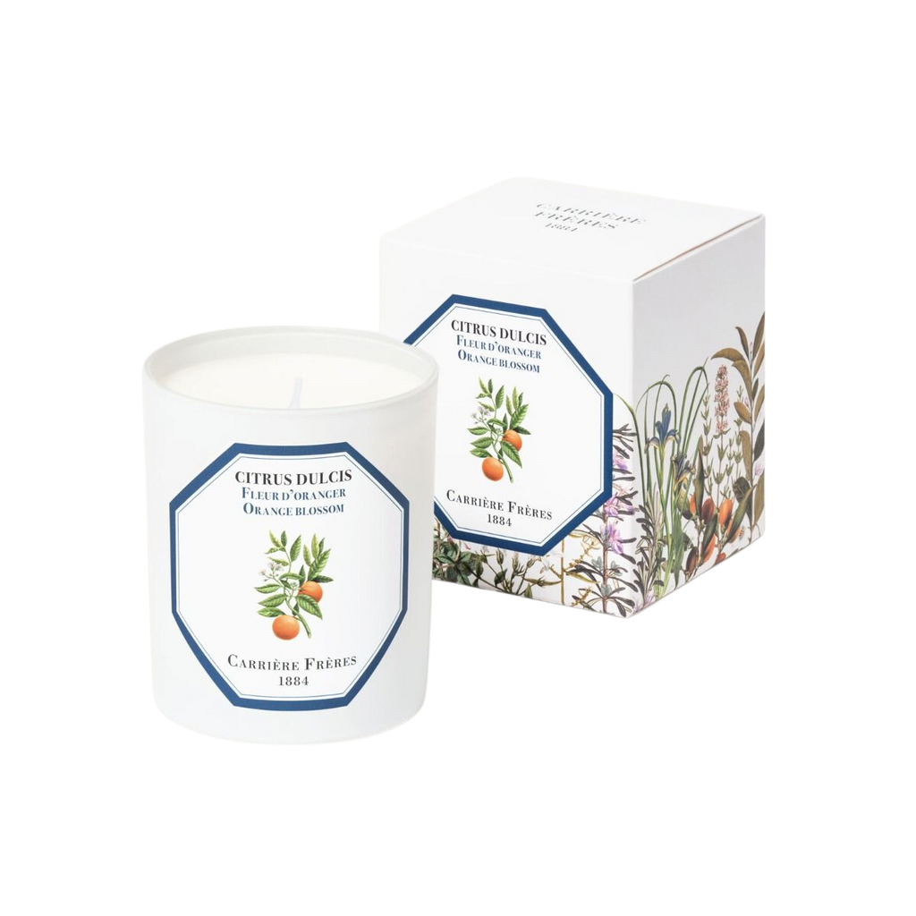 CANDLES/HOME FRAGRANCE Scented Candle in Orange Blossom Carrière Frères