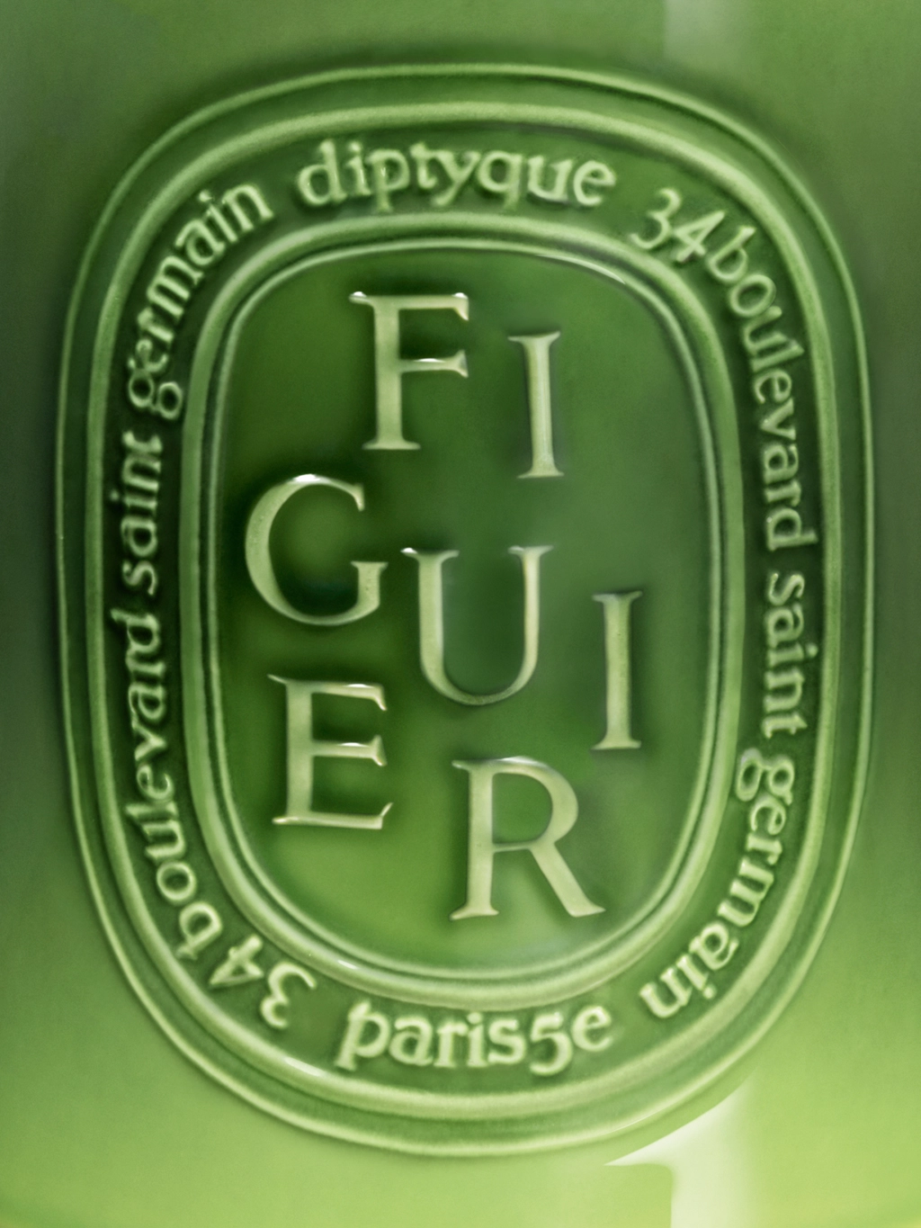 CANDLES/HOME FRAGRANCE Giant Candle in Figuier Diptyque