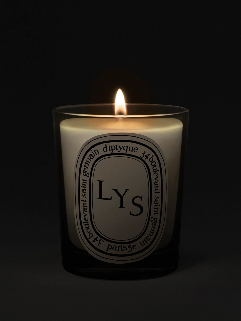 CANDLES/HOME FRAGRANCE SCENTED CANDLE Diptyque