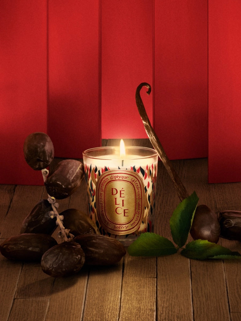 Candles Diptyque Limited Edition Scented Candle in Délice Diptyque