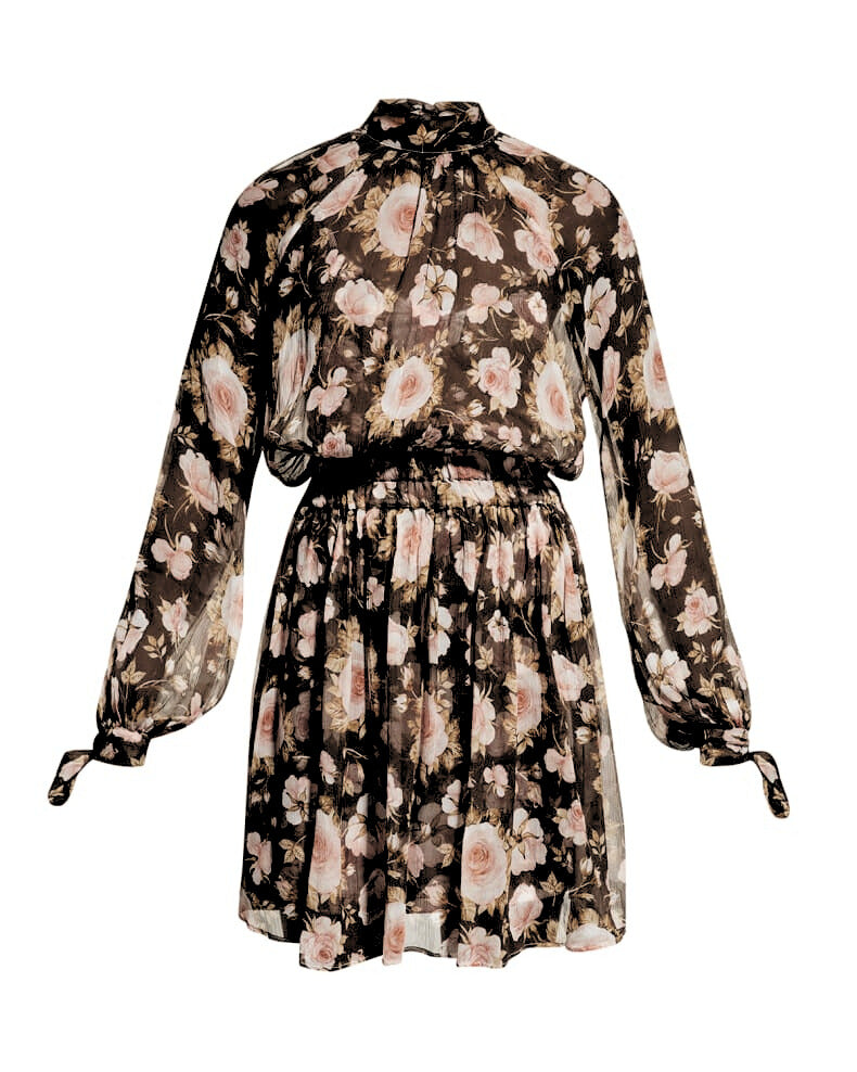 DRESSES/JUMPSUITS Dalia Mini Dress in Floral Alessia Zamattio
