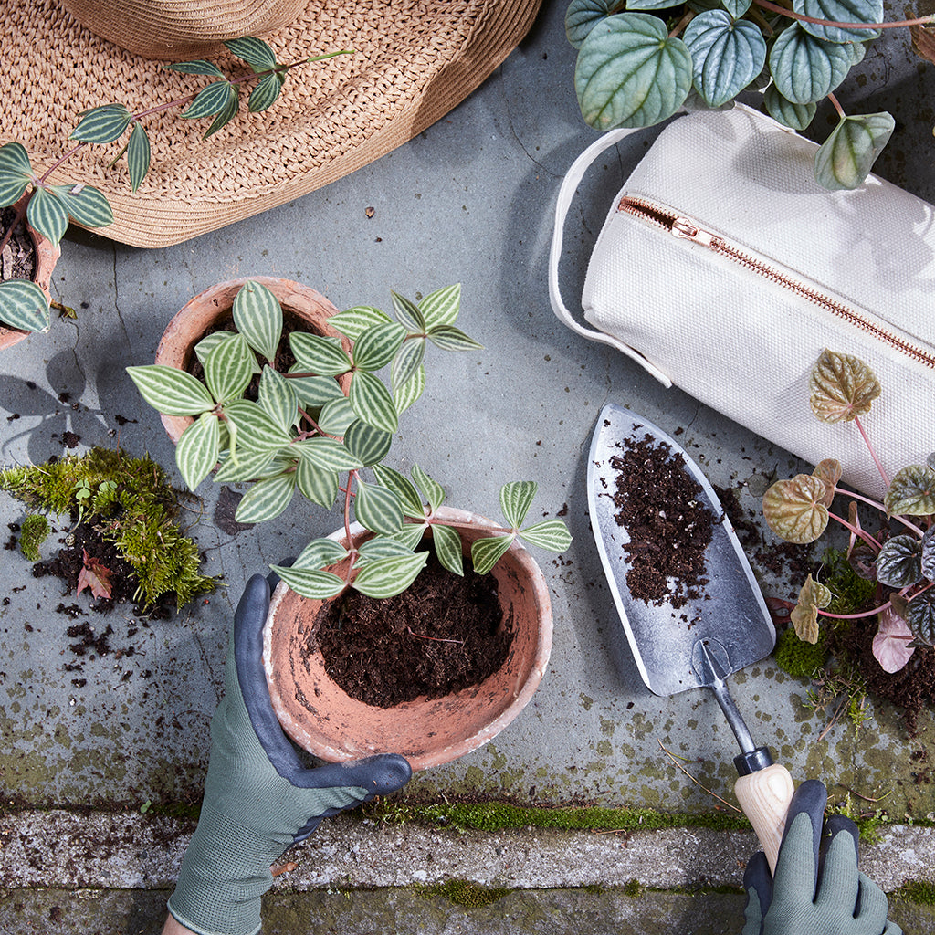 HOME ACCESSORIES Garden Kit The Floral Society