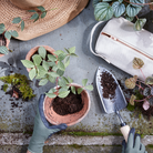 HOME ACCESSORIES Garden Kit The Floral Society