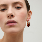FASHION JEWELRY Ecume Earring in Tortoise GAS Bijoux