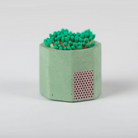 HOME ACCESSORIES CANDLE TRAY AND MATCH HOLDER IN MATCHA Tenn Prairie