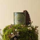 Candles Carrière Frères Scented Candle in Pine and Smoked Wood Carrière Frères
