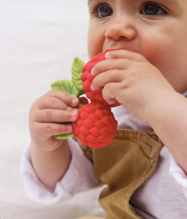 Toys Oli & Carol Valery the Raspberry Bath Toy Oli & Carol