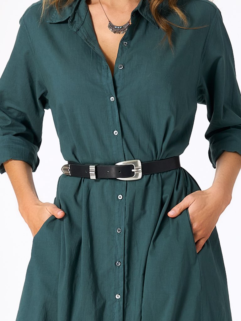 Belts Xirena Dallas Belt in Tan Xirena