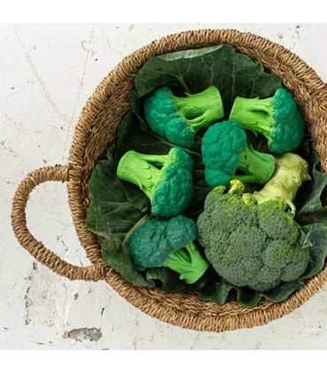 Toys Oli & Carol Brucy the Broccoli Bath Toy Oli & Carol