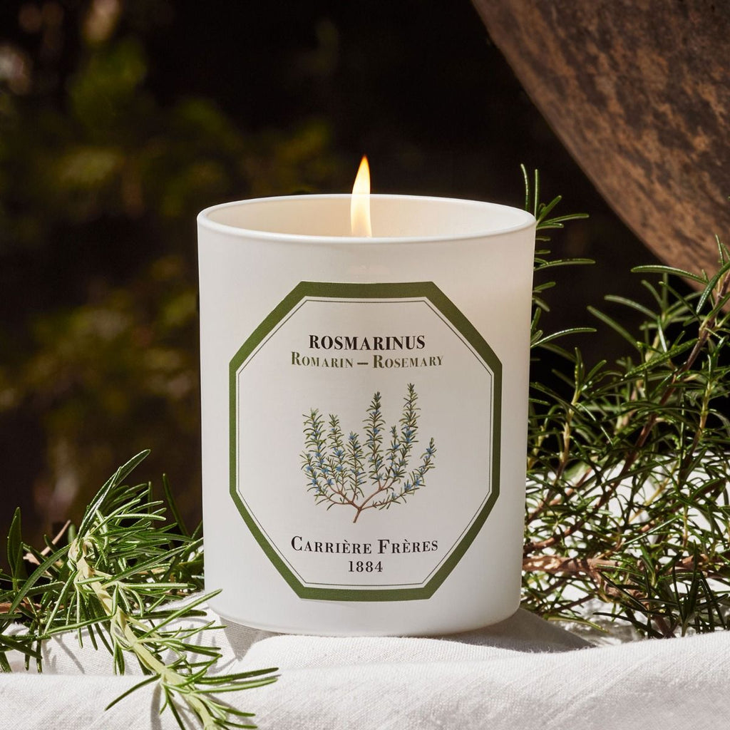 Candles Carrière Frères Scented Candle in Rosemary Carrière Frères