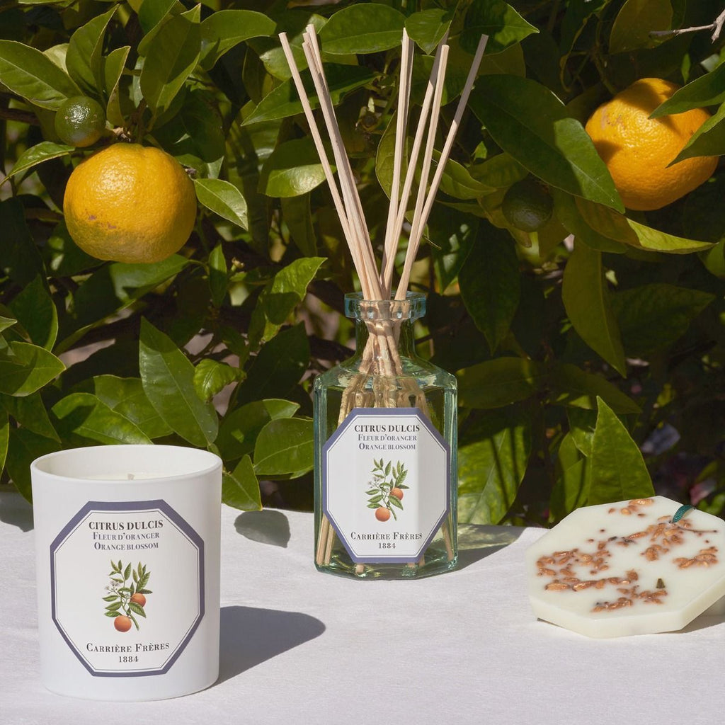 Home Fragrances Carrière Frères Diffuser in Orange Blossom Carrière Frères