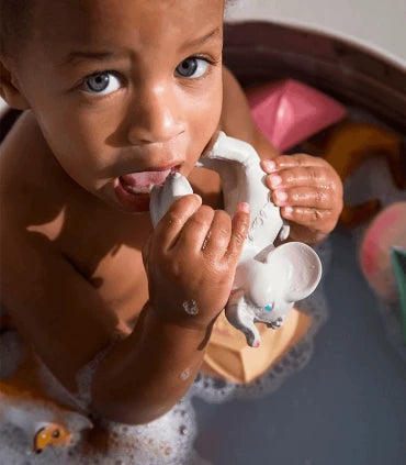 Oli and carol 2024 toys