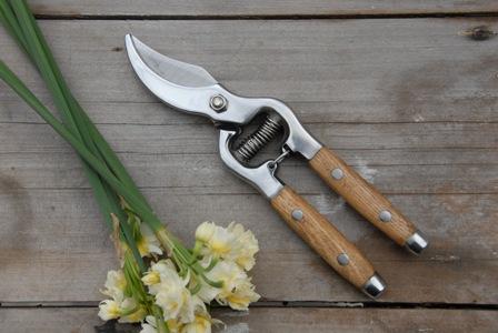 Market Earth and Nest Wood Handled Secateurs Heaven in Earth